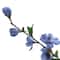 Blue Blossom Spray by Ashland®